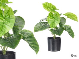 Ibergarden Pot Plante Feuilles Larges 38 cm Vert Noir Plastique (Set de 6)