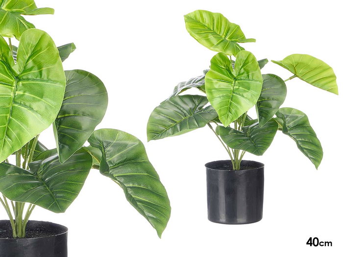 Ibergarden Pot Plante Feuilles Larges 38 cm Vert Noir Plastique (Set de 6) Ibergarden Pot Plante Feuilles Larges 38 cm Vert Noir Plastique (Set de 6)