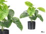 Ibergarden Pot Plante Feuilles Larges 38 cm Vert Noir Plastique (Set de 6)