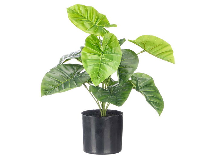 Ibergarden Pot Plante Feuilles Larges 38 cm Vert Noir Plastique (Set de 6) Ibergarden Pot Plante Feuilles Larges 38 cm Vert Noir Plastique (Set de 6)