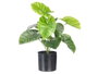 Ibergarden Pot Plante Feuilles Larges 38 cm Vert Noir Plastique (Set de 6)