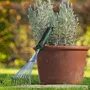 Bosch Balai à Gazon - Outil de Jardinage Compact en Acier Inoxydable pour Enlever les Mauvaises Herbes et Cailloux, Préparation du Sol