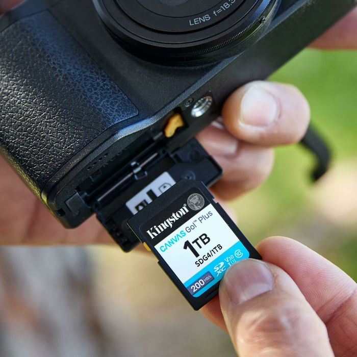 Carte Mémoire Micro SD avec Adaptateur Kingston SDG4 64 GB