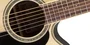 Takamine GN51CE-NAT