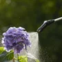 Gardena EasyPump - Pulvérisateur à pression sur batterie Li-ion 5 litres, avec lance télescopique, buse pliable et poignée ergonomique pour jardin