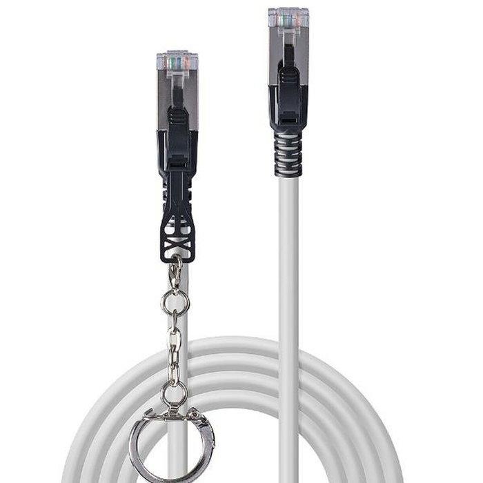 LINDY Câble Réseau Rigide FTP 6ème Catégorie Gris 30 cm LINDY Câble Réseau Rigide FTP 6ème Catégorie Gris 30 cm