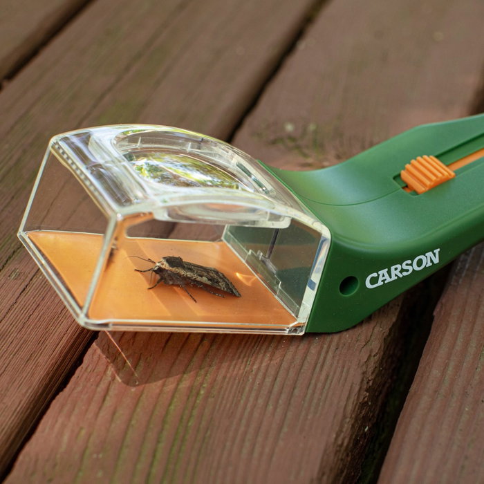 Carson HU-10 BugView Atrapa insecto avec loupe intégrée Carson HU-10 BugView Atrapa insecto avec loupe intégrée