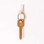 Wolfpack Linea Profesional Hanger 299I (Blister de 8 unités) Nailing