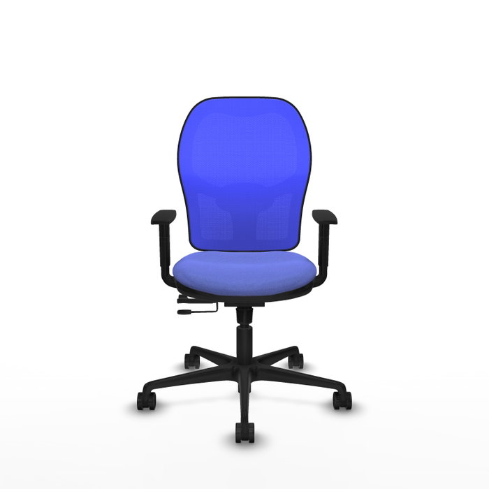 PIQUERAS Y CRESPO Chaise de bureau Jorquera Bleu clair avec accoudoirs 1D PIQUERAS Y CRESPO Chaise de bureau Jorquera Bleu clair avec accoudoirs 1D