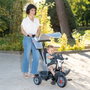 Smoby Baby Driver Tricycle Gris