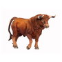 Deqube Figurine Toro Bravo Colorado Trotant - Réplique Animal Peinte à Main en Résine Détaillée - Collection de 20 Taureaux - Pour Enfants 3 Ans et Plus