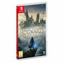 Jeu vidéo pour Switch Nintendo Hogwarts Legacy: The legacy of Hogwarts