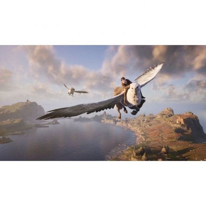 Jeu vidéo pour Switch Nintendo Hogwarts Legacy: The legacy of Hogwarts