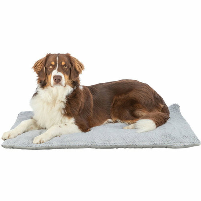 Lit pour chien Trixie Livia Soft Gris 90 x 60 cm