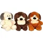 Gipsy Toys Peluche Chien Chubby Dog 40 cm Beige - Douceur Incomparable, Compagnon de Jeu pour Enfants