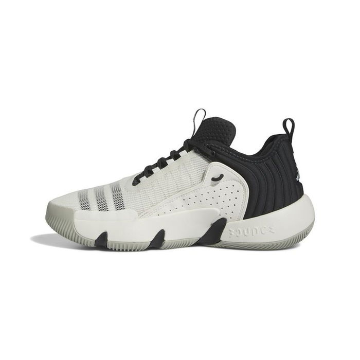 Chaussures de Basket-Ball pour Adultes Adidas IF5609 Noir