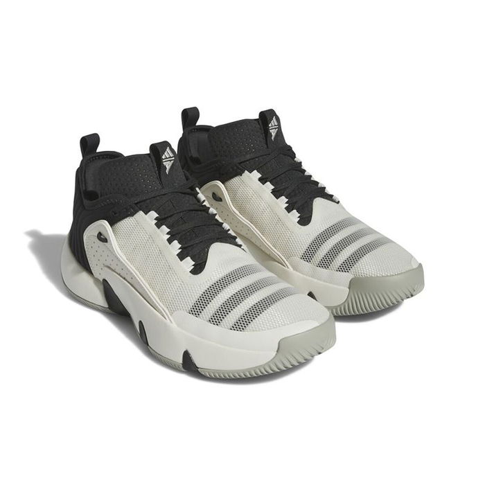Chaussures de Basket-Ball pour Adultes Adidas IF5609 Noir