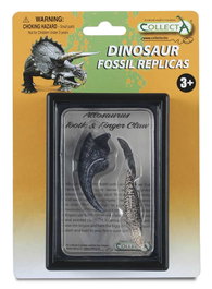 COLLECTA Réplique de la dent et de la griffe d'Allosaurus