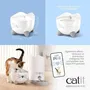 Cat It PIXI Fontaine à Eau Automatique pour Chat avec Filtre, 2.5L, Vert - Source d'Eau Fraîche Continue pour Prévention des Maladies Urinaires