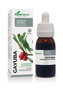Soria Natural Extrait de Gayuba Formule XXI 50 ml