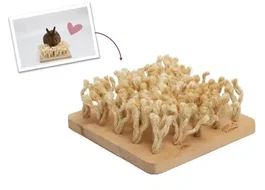 Bunny Nature Snuffleboard pour rongeurs