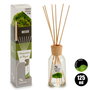 Arte Regal Mikado 125 ml Musgo Essencia - 5,5 x 24 x 5,5 cm (Set de 6)
