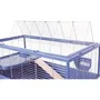 Zolux Néolife Cage Grillagée Surélevée pour Cochon d'Inde et Rongeurs, 99 x 54 x 79 cm, Bleu