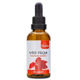 PLANTIS Extrait de Vigne Rouge 50ml
