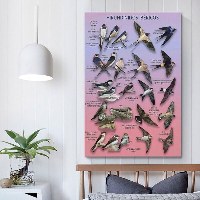 Samsung Monitor ViewFinity S7 S37D700EAU / LS37D700EAUXEN - Écran incurvé 37 pouces, Noir