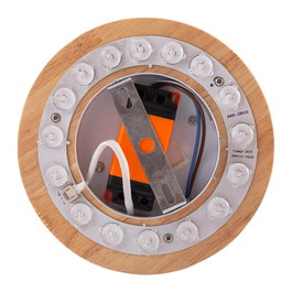 Applique murale LED ronde bicolore Martina 12 W 1 200 lm CCT Tonalité variable 40 000 h [HO-CCT-LED69]