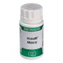 EQUISALUD HOLOFIT MACA 50 capsules