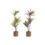 Home ESPRIT Plante décorative Vert (Lot de 2 Unités)
