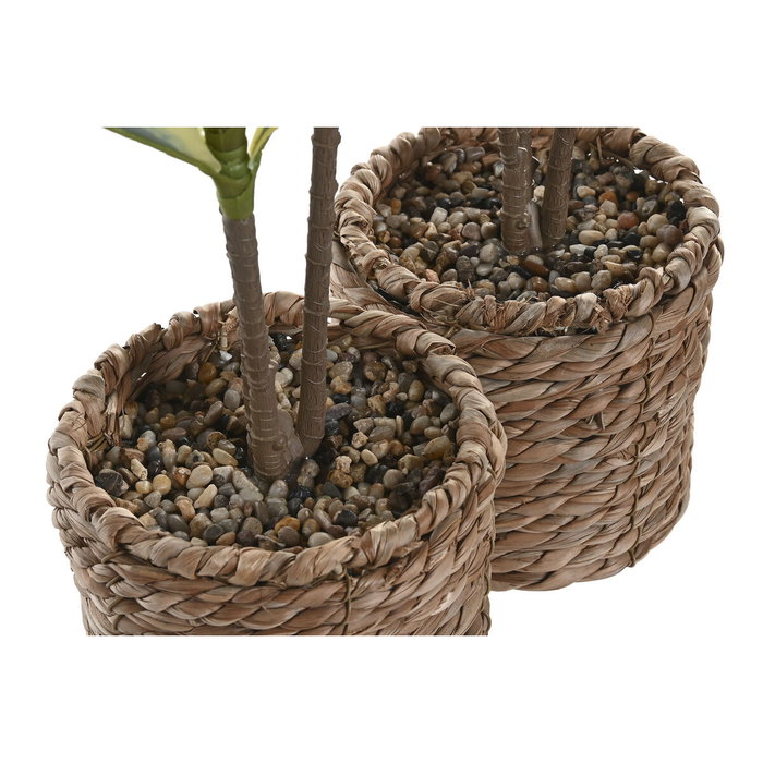 Home ESPRIT Plante décorative Vert (Lot de 2 Unités)