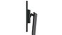 Lenovo ThinkVision P32p-30 31,5'' 4K Ultra HD IPS Noir