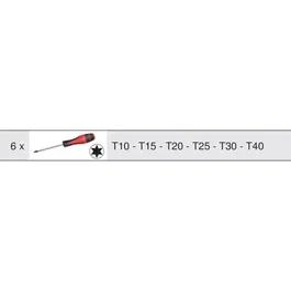 KS TOOLS 713.5013 - Module de tournevis Ultimate Torx, 6 pièces pour servantes et établis, mousse taille 1/3