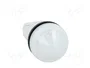 EATON ELECTRIC Lampe de contrôle RMQ-Titan blanc 22mm