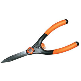Riegolux RGX Coupe-haies droit avec manche en fibre de verre