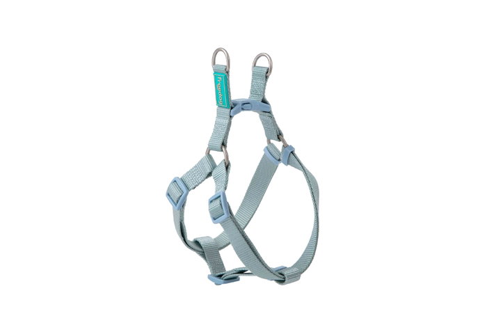 Freedog Harnais en Nylon Type A Bleu Ciel 10mm x 20/36cm Freedog Harnais en Nylon Type A Bleu Ciel 10mm x 20/36cm