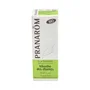Pranarom Huile Essentielle de Menthe des Champs Bio 10 ml
