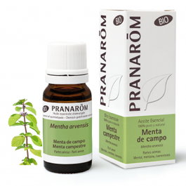 PRANAROM Huile essentielle Menthe des champs BIO 10 ml