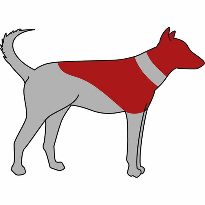 Collier protecteur pour chien Trixie Bleu Gonflable (66-78 cm)