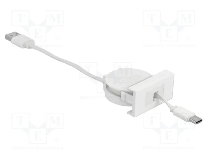 DELOCK Module USB Easy 45 USB A et USB C, USB 2.0, Blanc DELOCK Module USB Easy 45 USB A et USB C, USB 2.0, Blanc