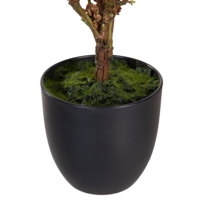 BigBuy Home Plante décorative Magnolia 30 x 30 x 60 cm BigBuy Home Plante décorative Magnolia 30 x 30 x 60 cm