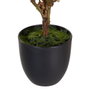 BigBuy Home Plante décorative Magnolia 30 x 30 x 60 cm