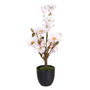 BigBuy Home Plante décorative Magnolia 30 x 30 x 60 cm