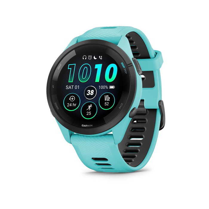 Montre intelligente GARMIN 010-02810-12 1,3" 46 mm