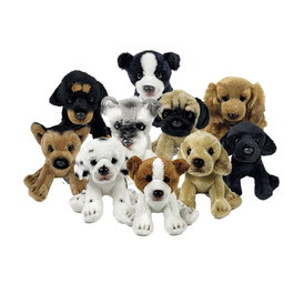 DEQUBE Peluche Chien Assorti 12 cm en Expositor BOCALAN Multilingue +0 Mois