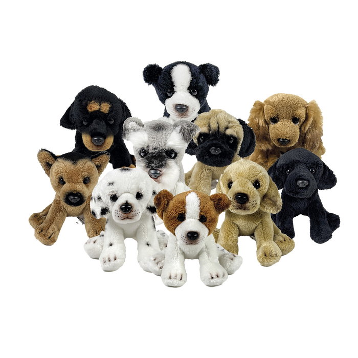 DEQUBE Peluche Chien Assorti 12 cm en Expositor BOCALAN Multilingue +0 Mois DEQUBE Peluche Chien Assorti 12 cm en Expositor BOCALAN Multilingue +0 Mois