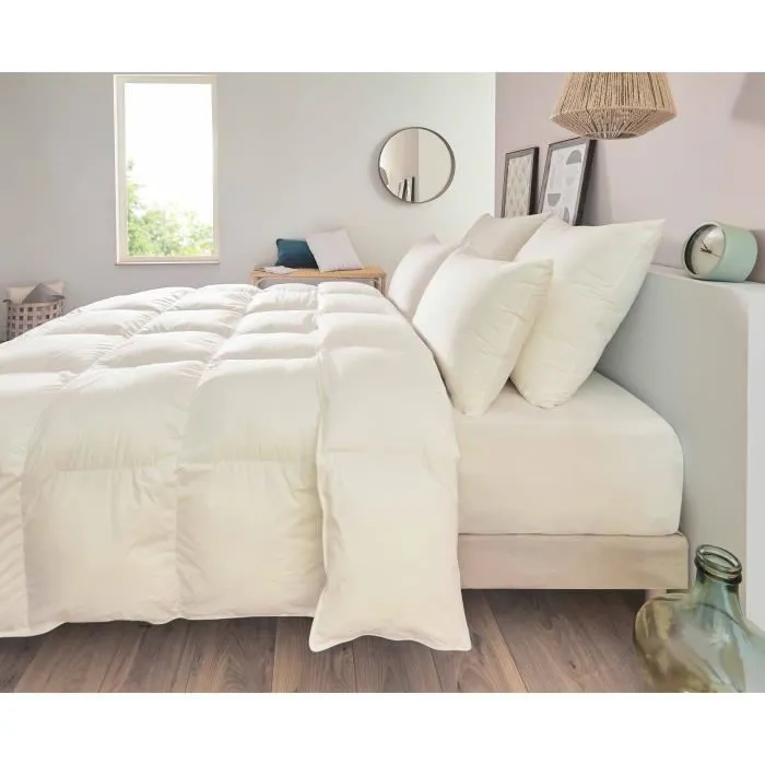 Toison D'Or Oreiller Confort Ferme Blanc Pollux Anti-acarien 50x70 cm - Traitement Ultrafresh, Percale 100% Coton, Garnissage 100% Polyester