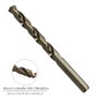 WOLFPACK LINEA PROFESIONAL Mèche cylindrique en cobalt HSS 1,00 mm (Lot de 2)
